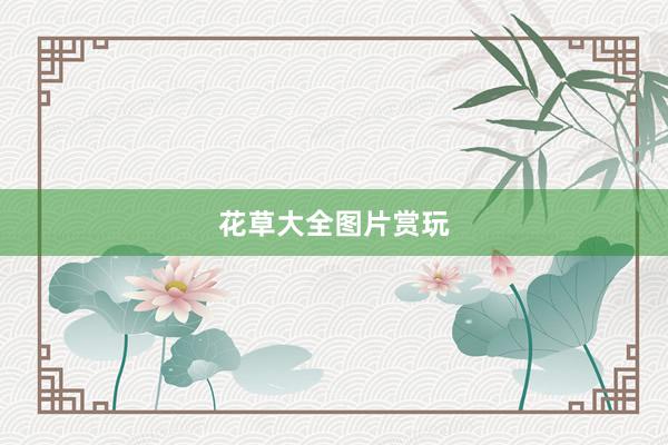 花草大全图片赏玩